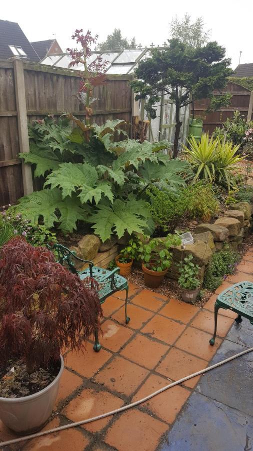 Cozy Haven: Ground Floor Comfort with Breakfast & Parking Apartment Heanor Exterior photo